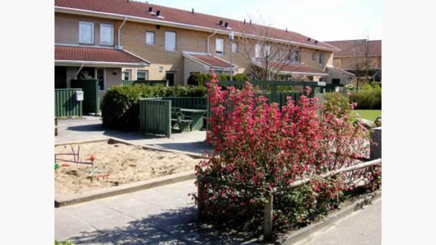 Innergården hos bostadsrätten Högsåker